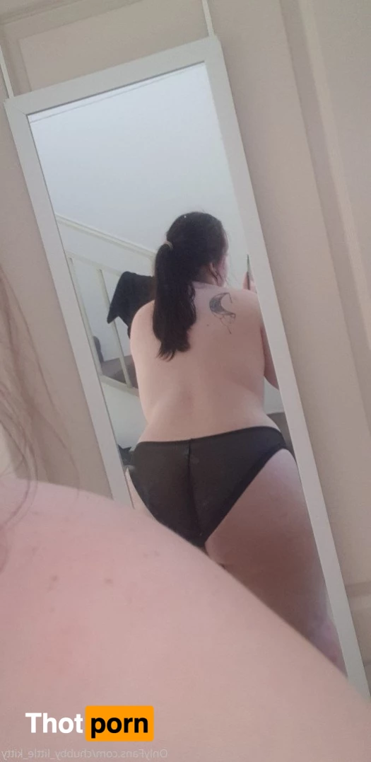 chubby_little_kitty 3532789