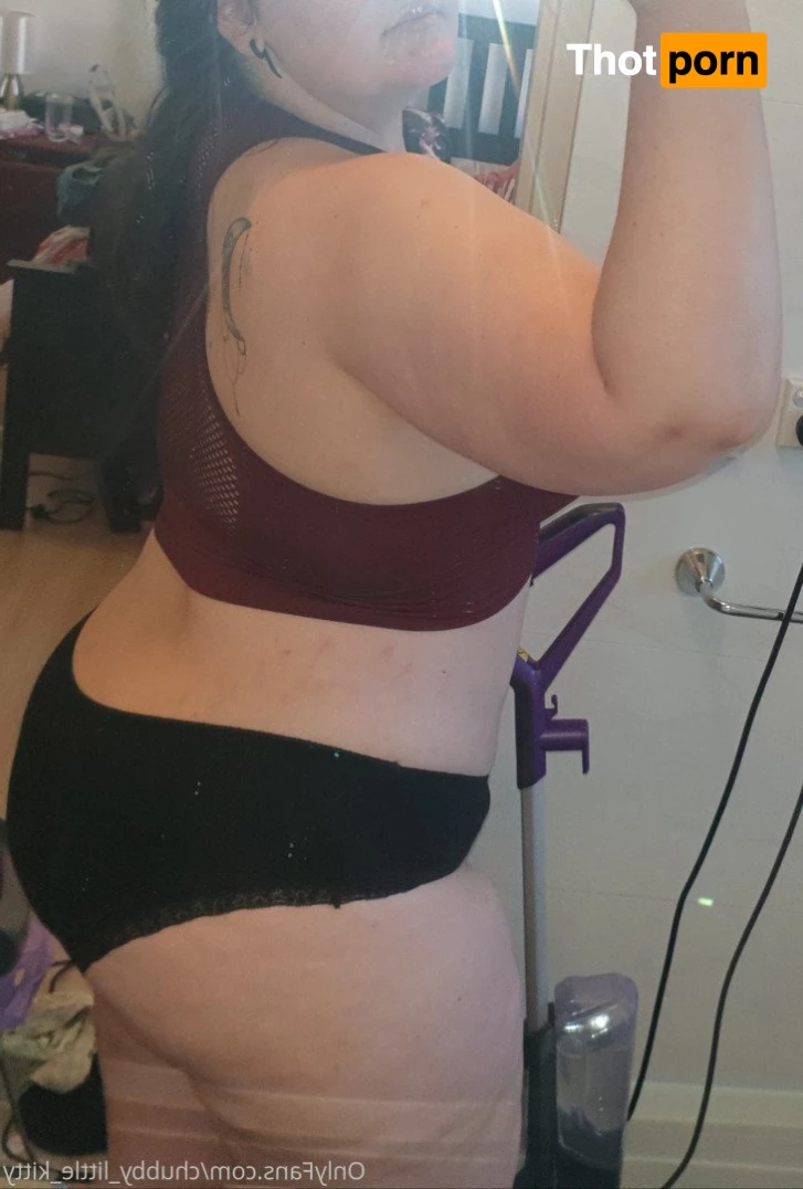 chubby_little_kitty 3532799