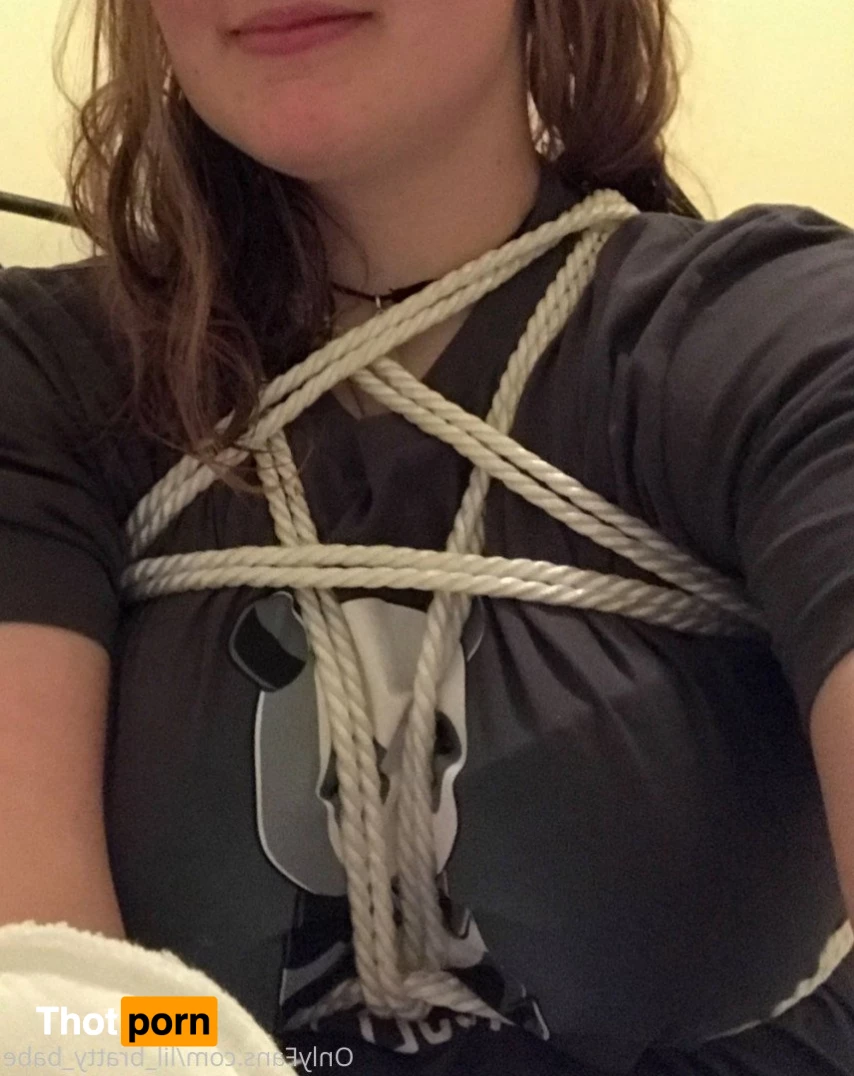 chubby_little_kitty 3532804