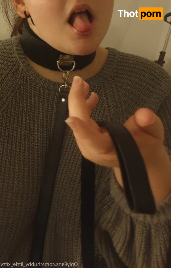 chubby_little_kitty 3532846