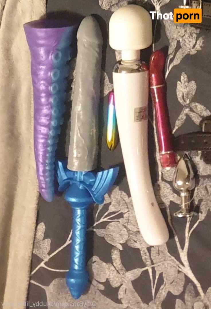 chubby_little_kitty 3532890