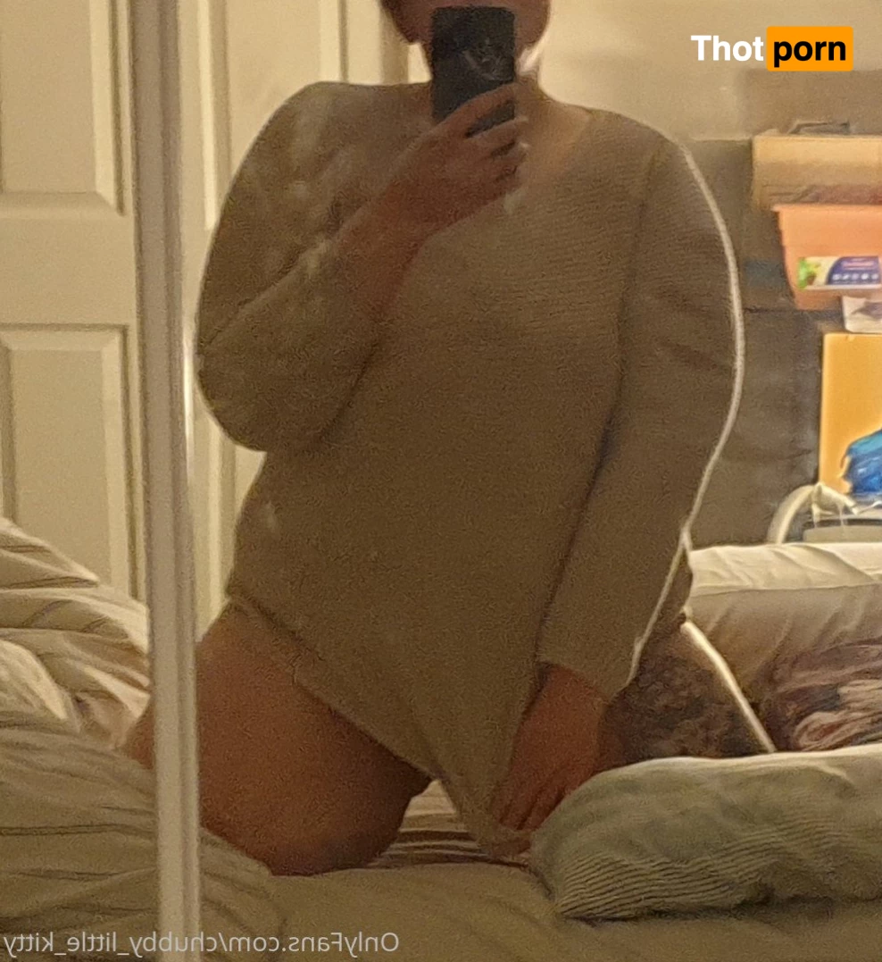 chubby_little_kitty 3532893