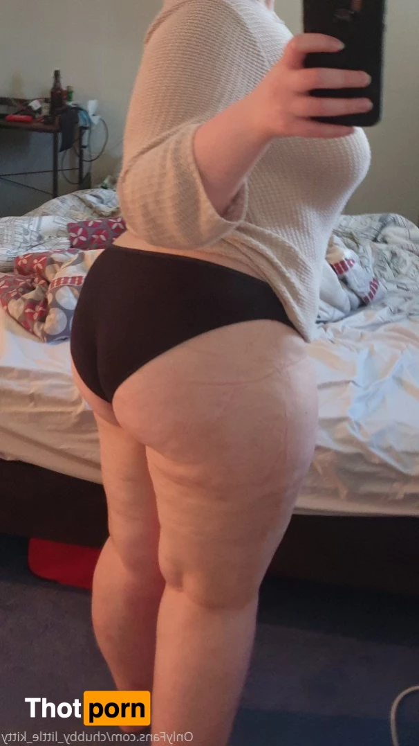 chubby_little_kitty 3532918