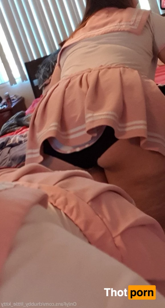 chubby_little_kitty 3532943