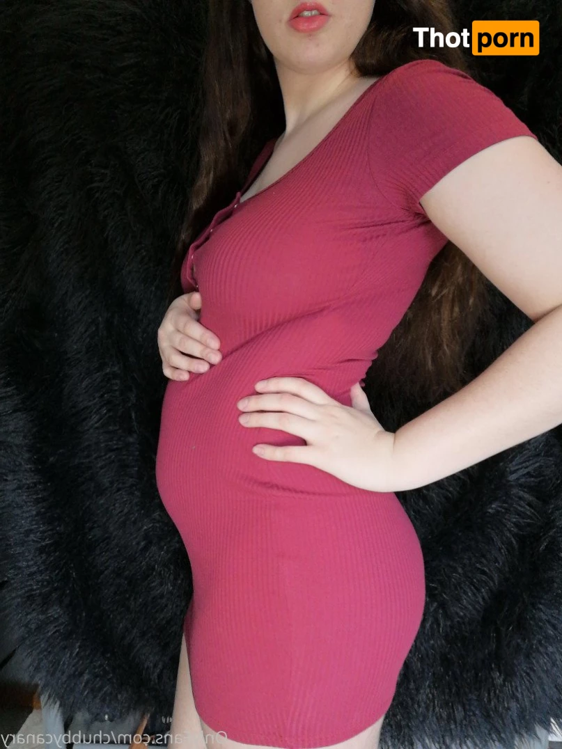 chubbycanary 3426149