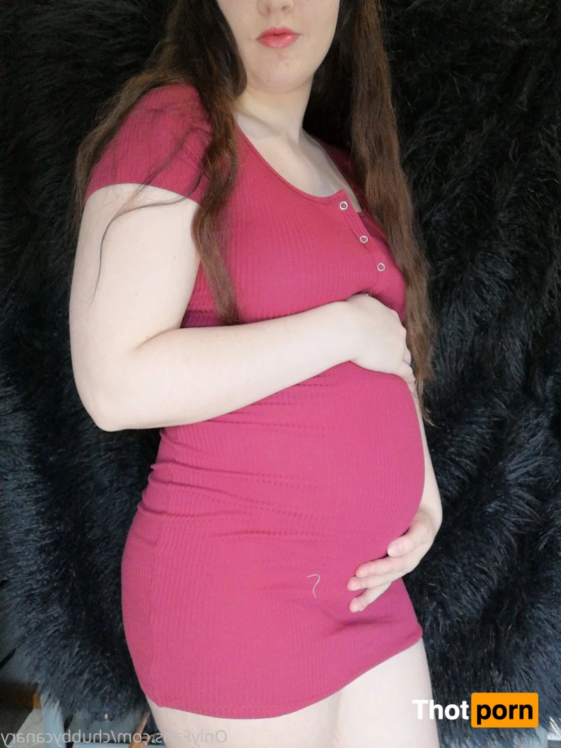 chubbycanary 3426271