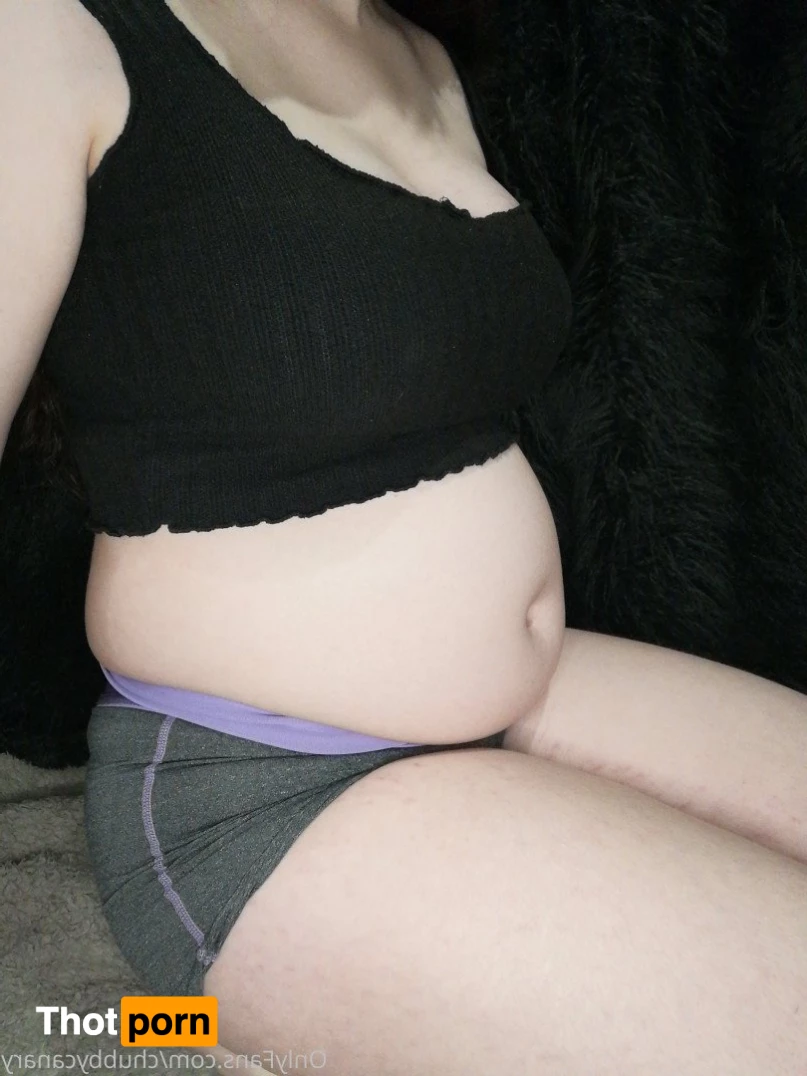 chubbycanary 3426343