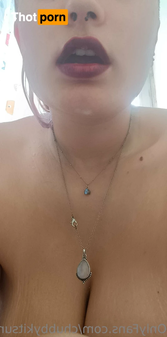 Chubby Kitsune 14829675