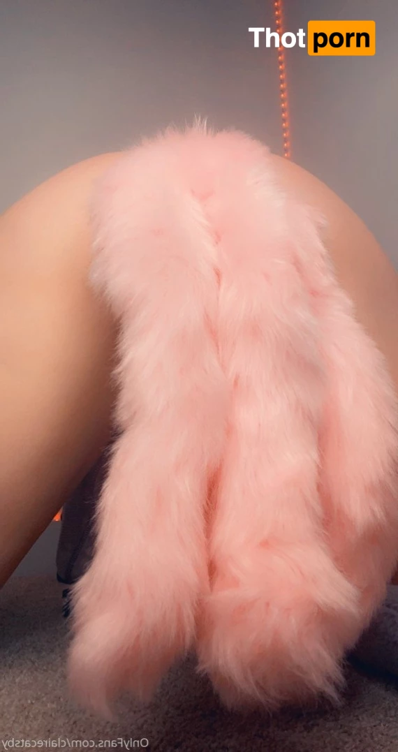 ✨Claire Catsby✨ 3909938