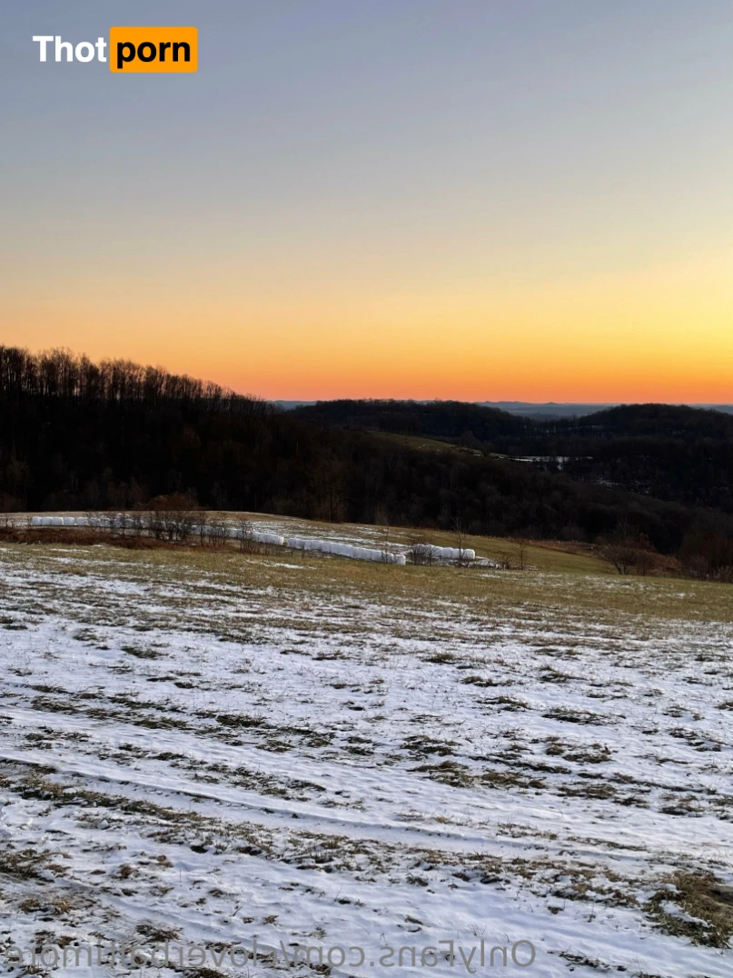 cloverbaltimore 12273724