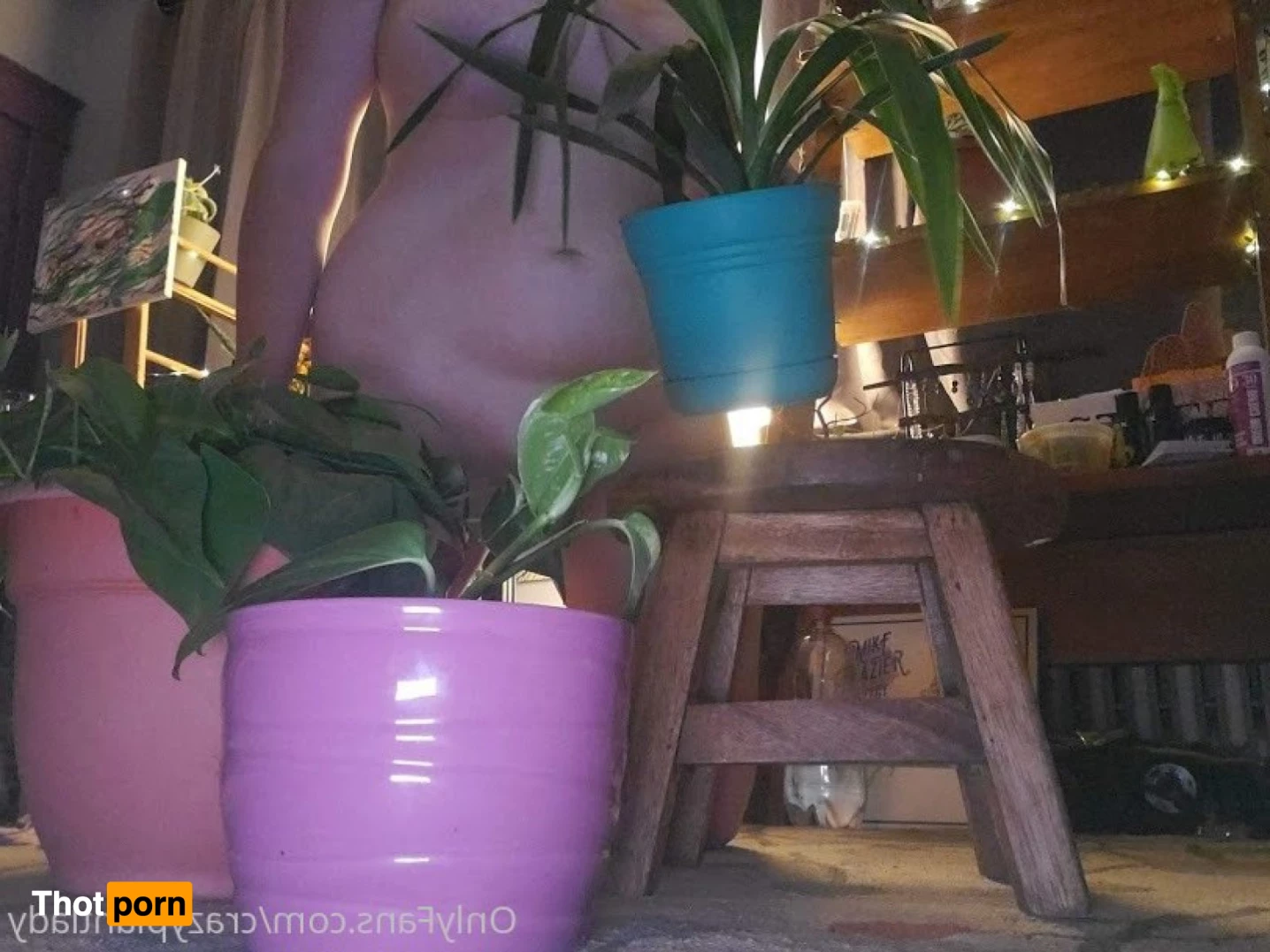 crazyplantlady 7614024