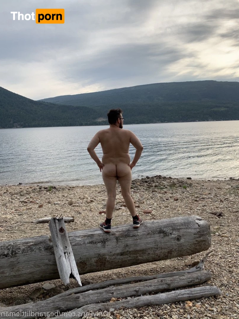 Cub and Bear 3768814