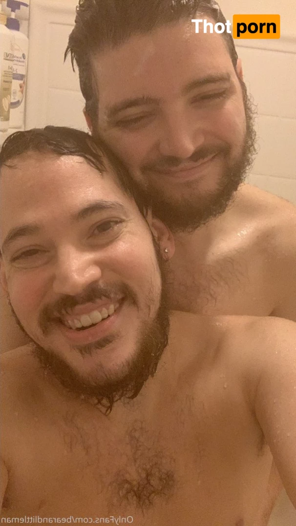 Cub and Bear 3768939