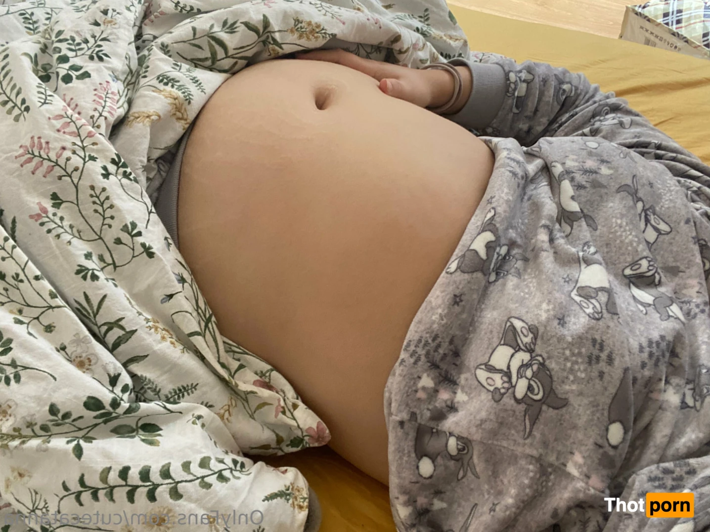 CuteCatAnna 14597720