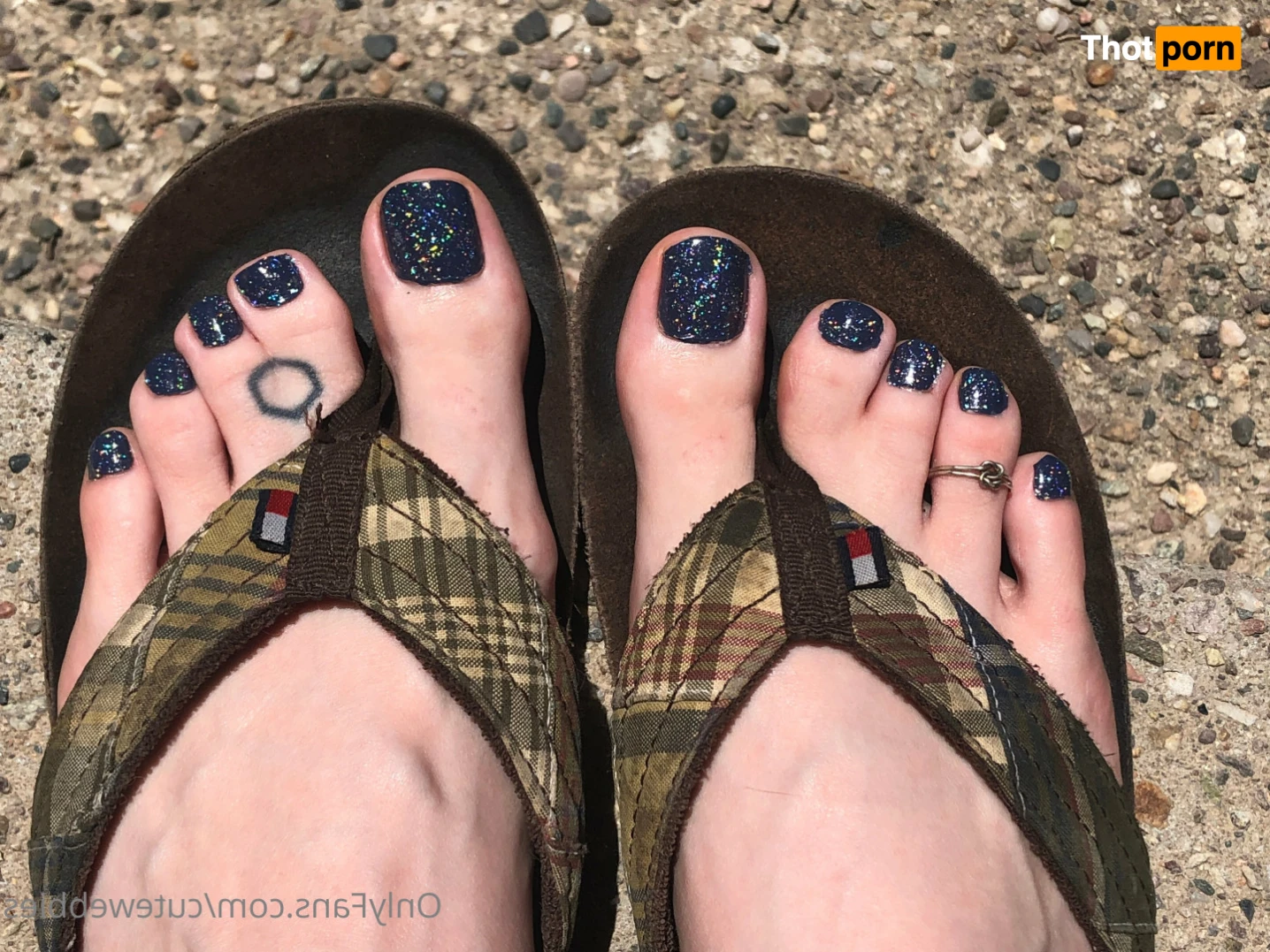 Cute Webbies 14517667