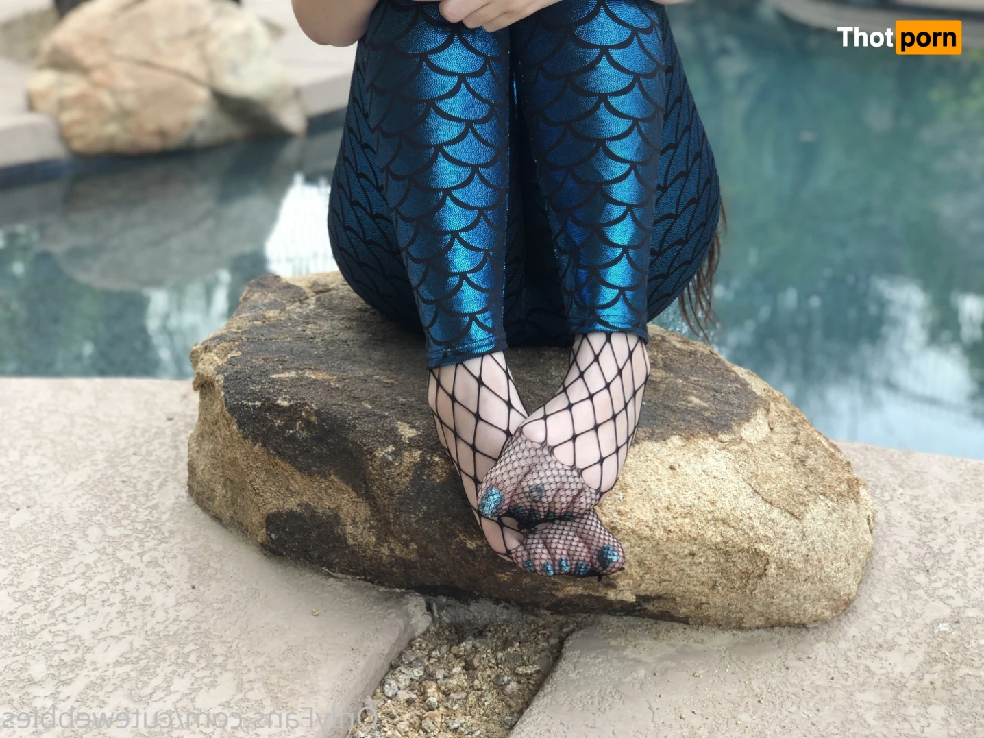 Cute Webbies 14517769