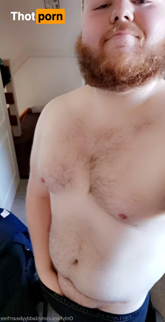 DaddyBear 3729967