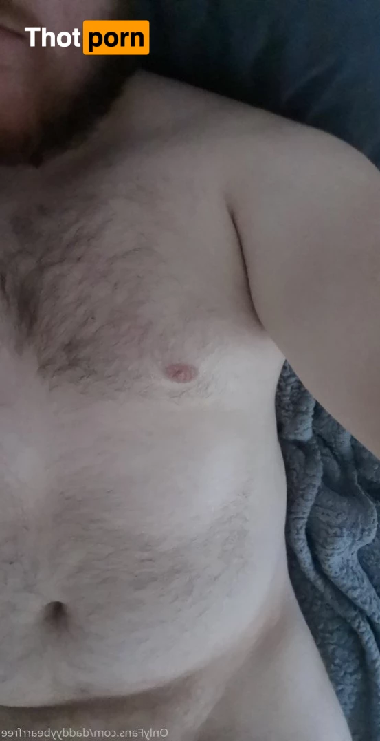 DaddyBear 3730412
