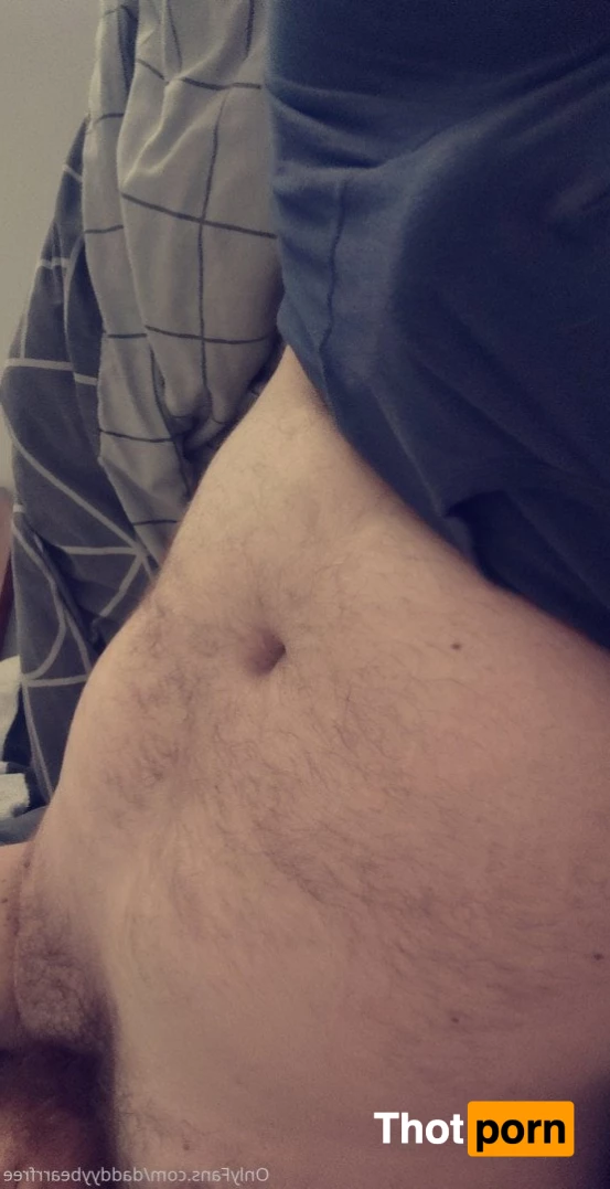 DaddyBear 3730640