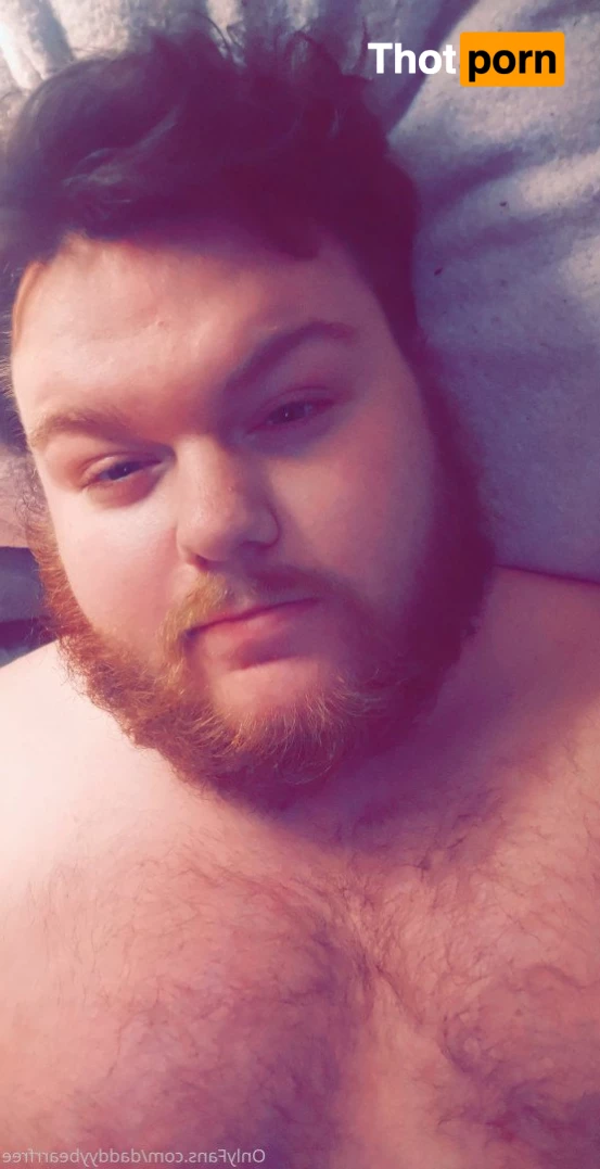 DaddyBear 3730877