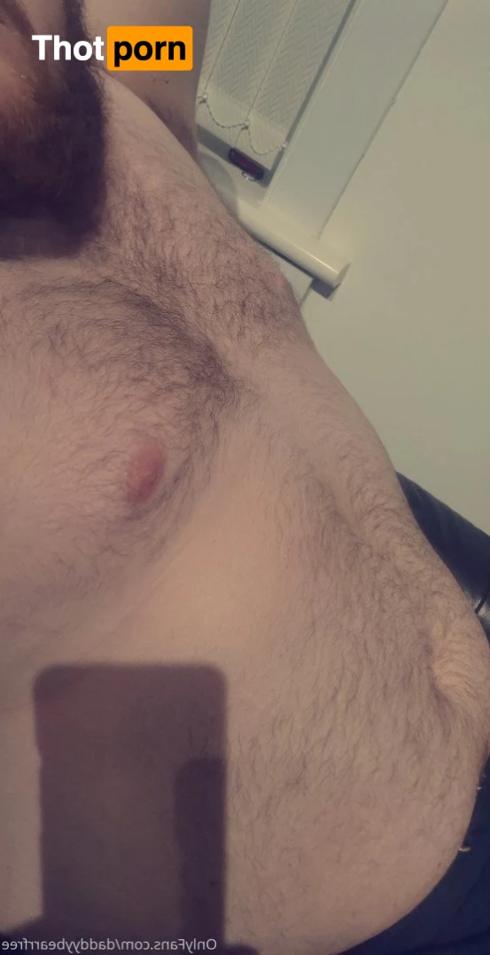 DaddyBear 3731203