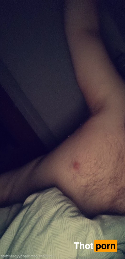 DaddyBear 3731643