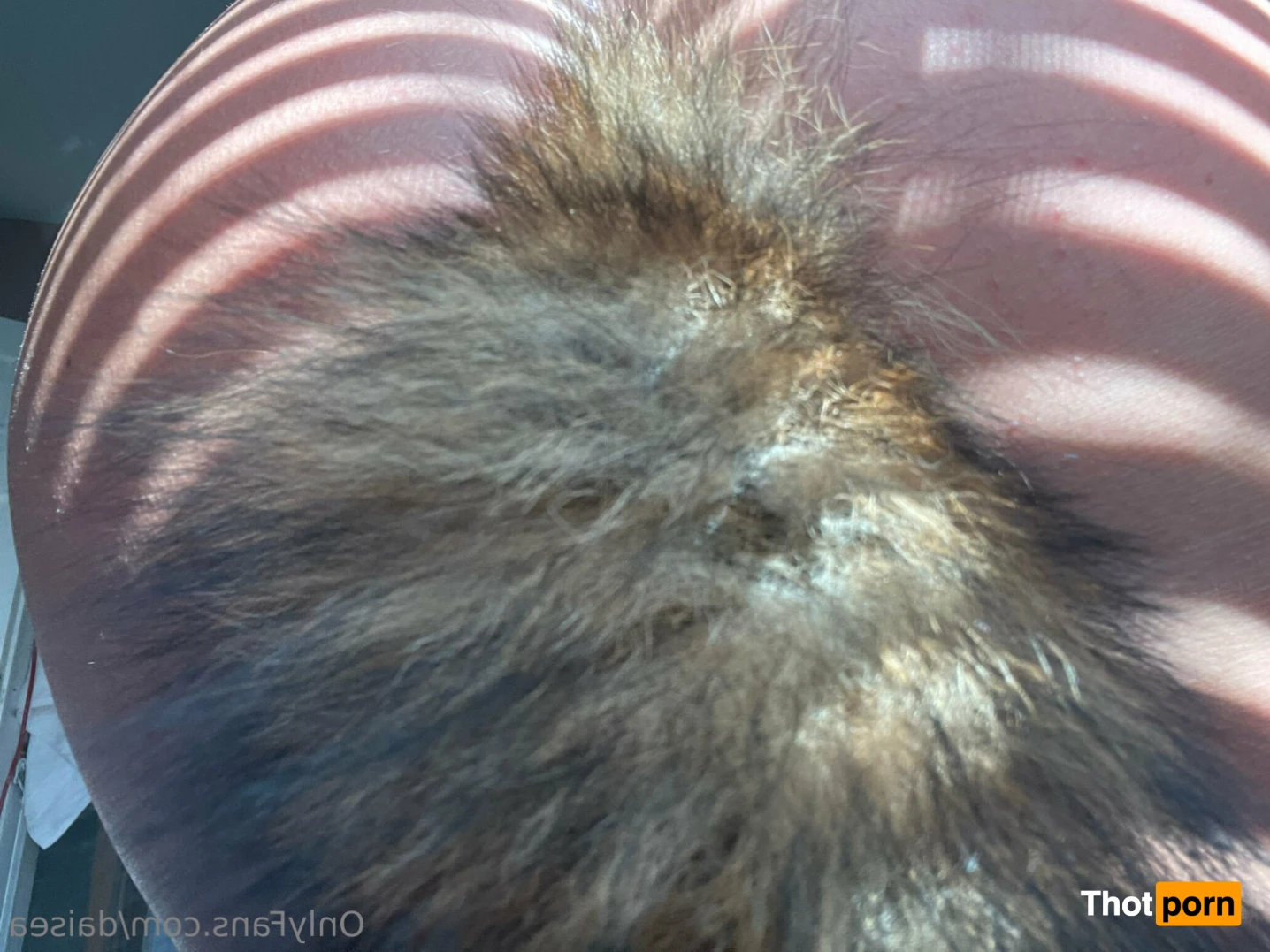 ძᥲіsᥱᥲ- і ᴊᴜsᴛ ɢʀᴀᴅᴜᴀᴛᴇᴅ! FREE OF 14433336