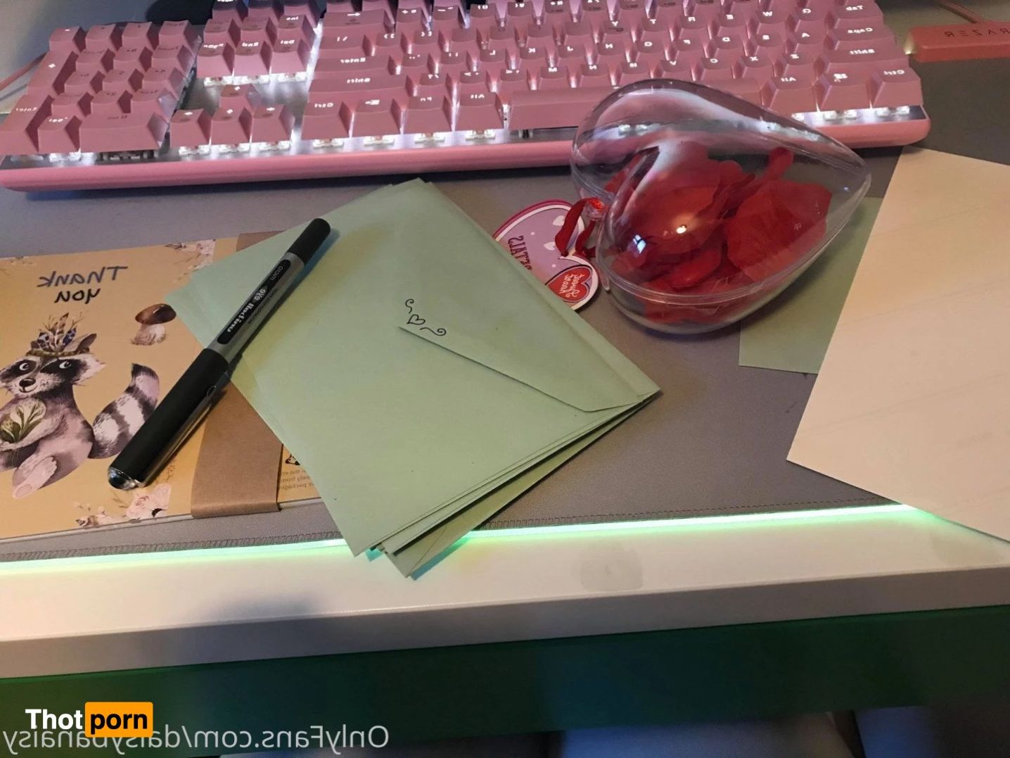 ❀ Daisy ❀ 3505474