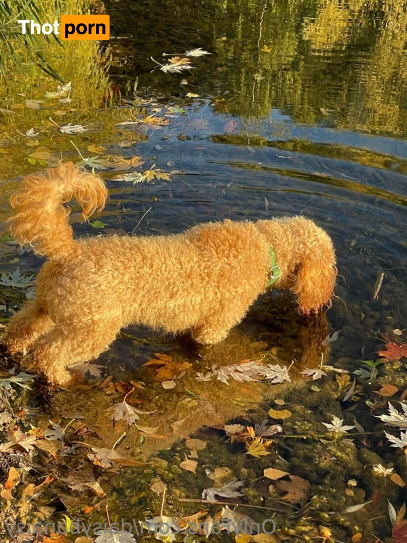 ❀ Daisy ❀ 6109186