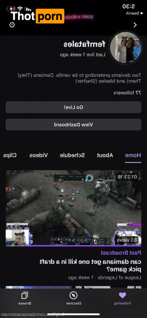 damianasdomain 3504080