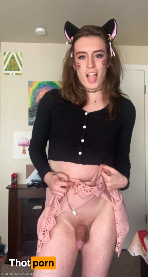 damianasdomain 3504092