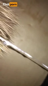 3287266