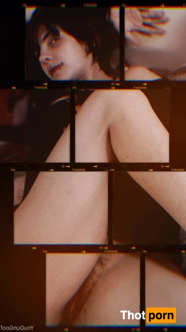 Dami Slaughter 3729730