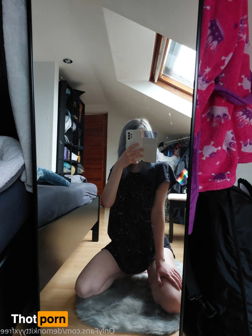 FREE kittyy💕 3668950