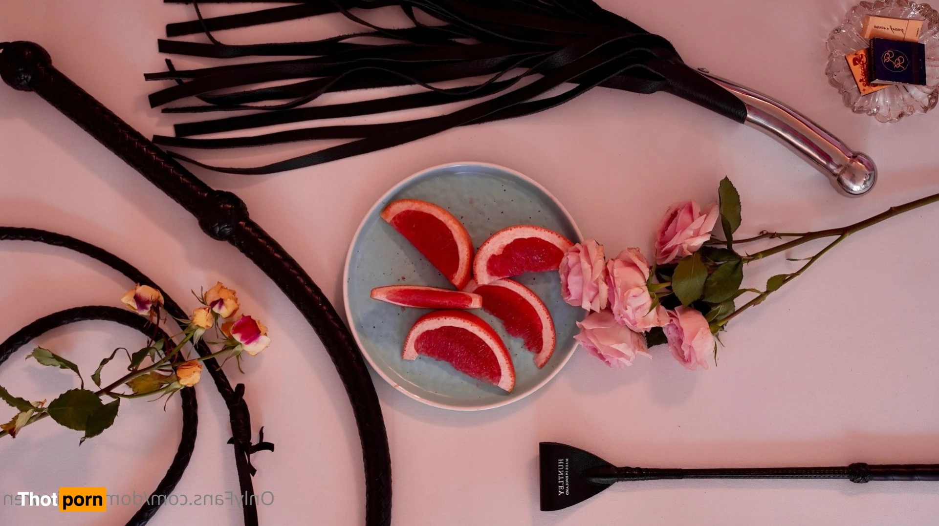 Dominatrix Wren 3388772