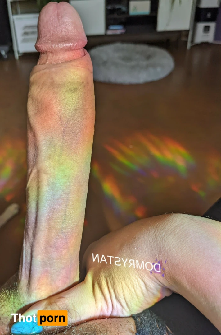 Dominique Rystan 13827682