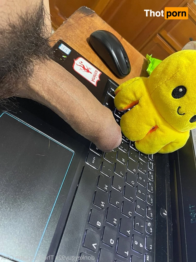 donkeyguy92x 3492213