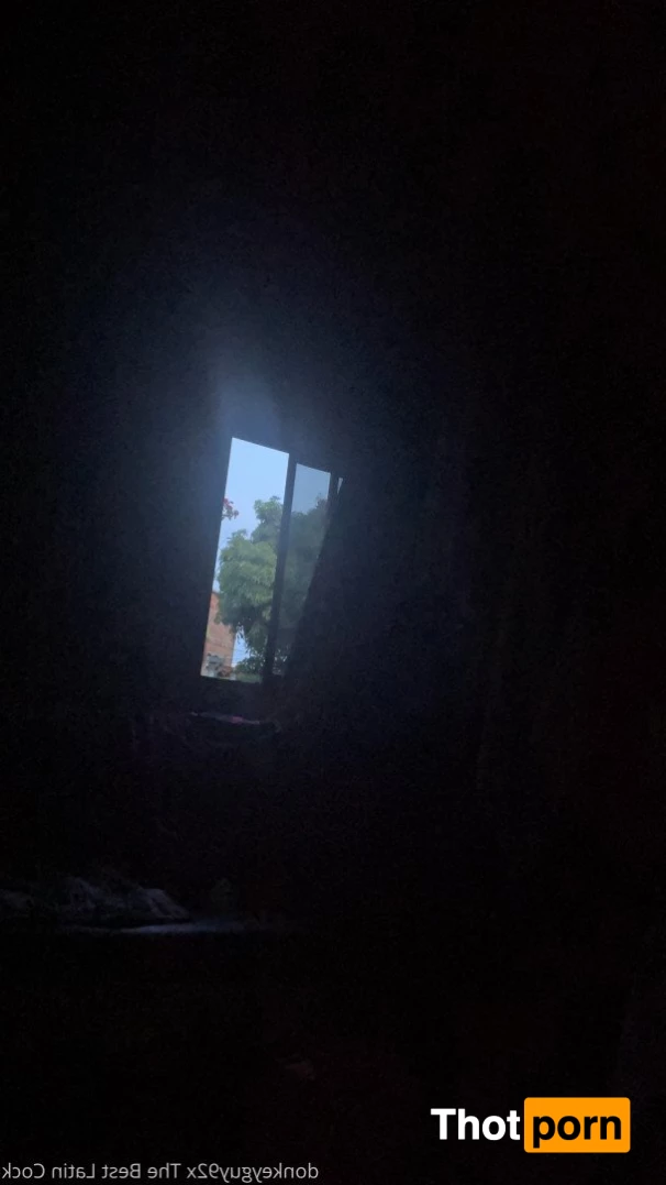 donkeyguy92x 3492220