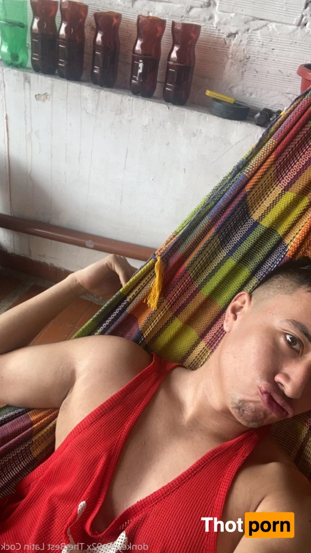 donkeyguy92x 3492293