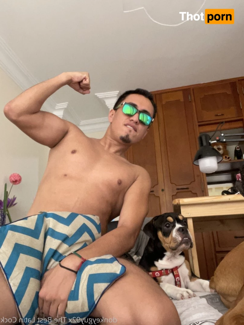 donkeyguy92x 3492317