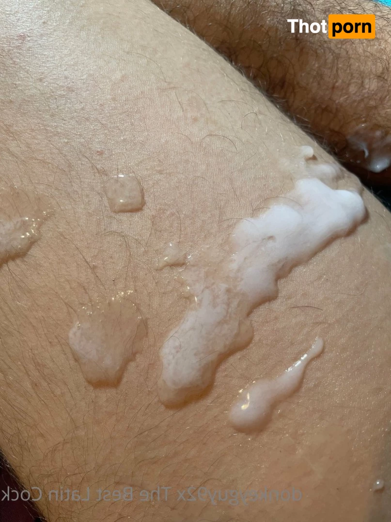 donkeyguy92x 3492335