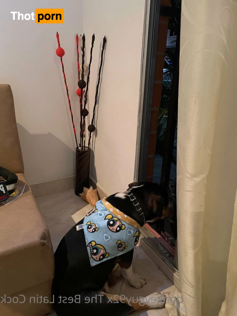 donkeyguy92x 3492392