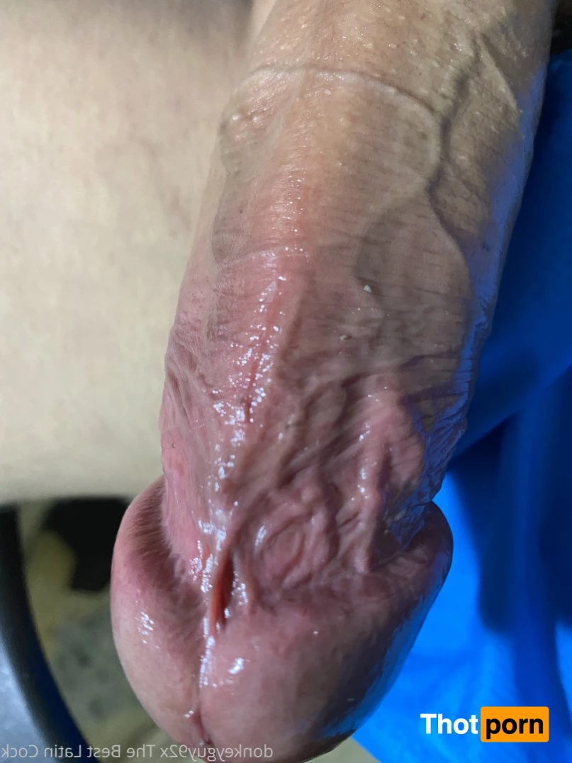 donkeyguy92x 3492457