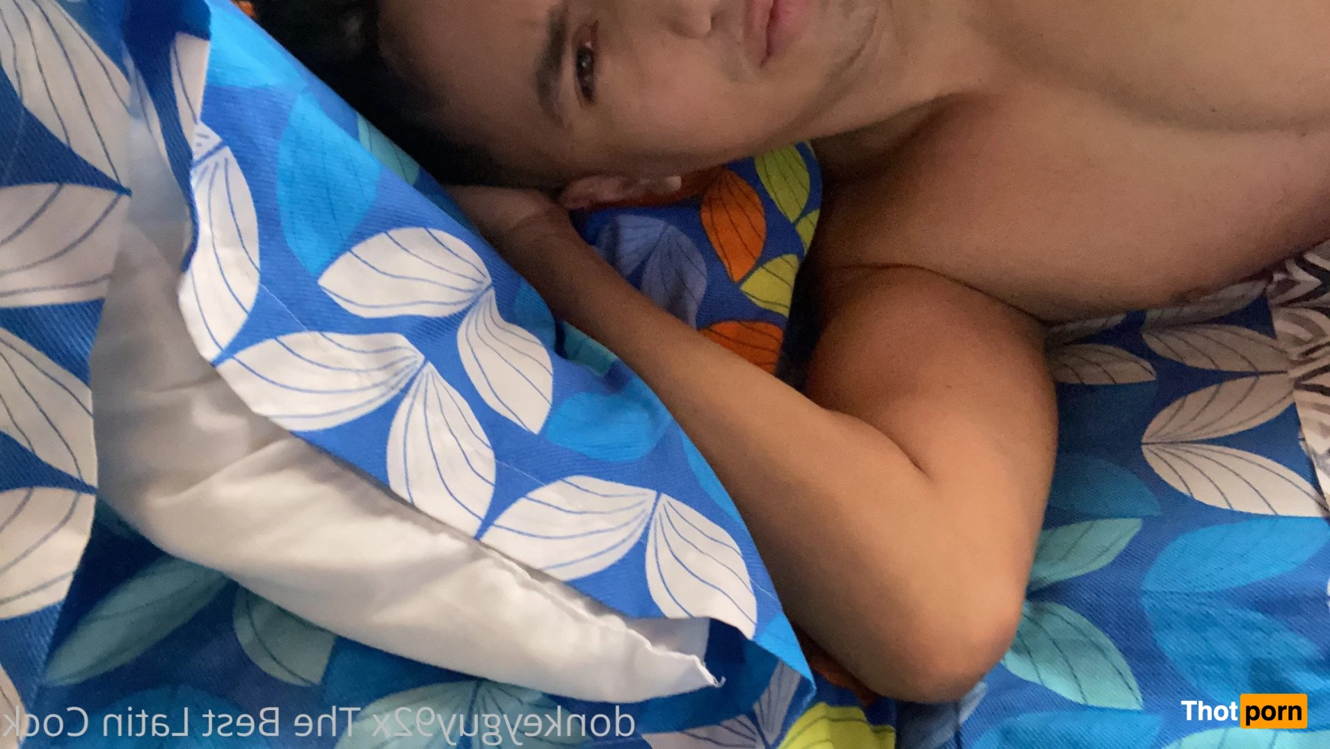 donkeyguy92x 3492489