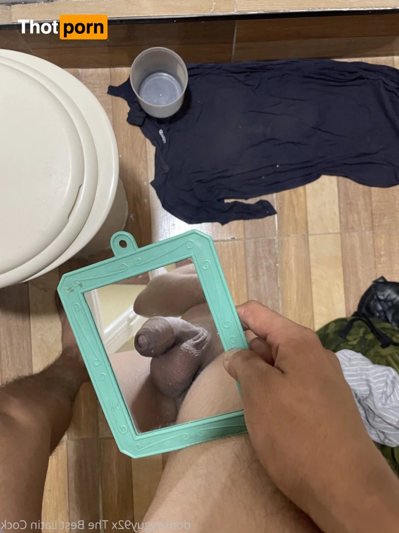 donkeyguy92x 3492599