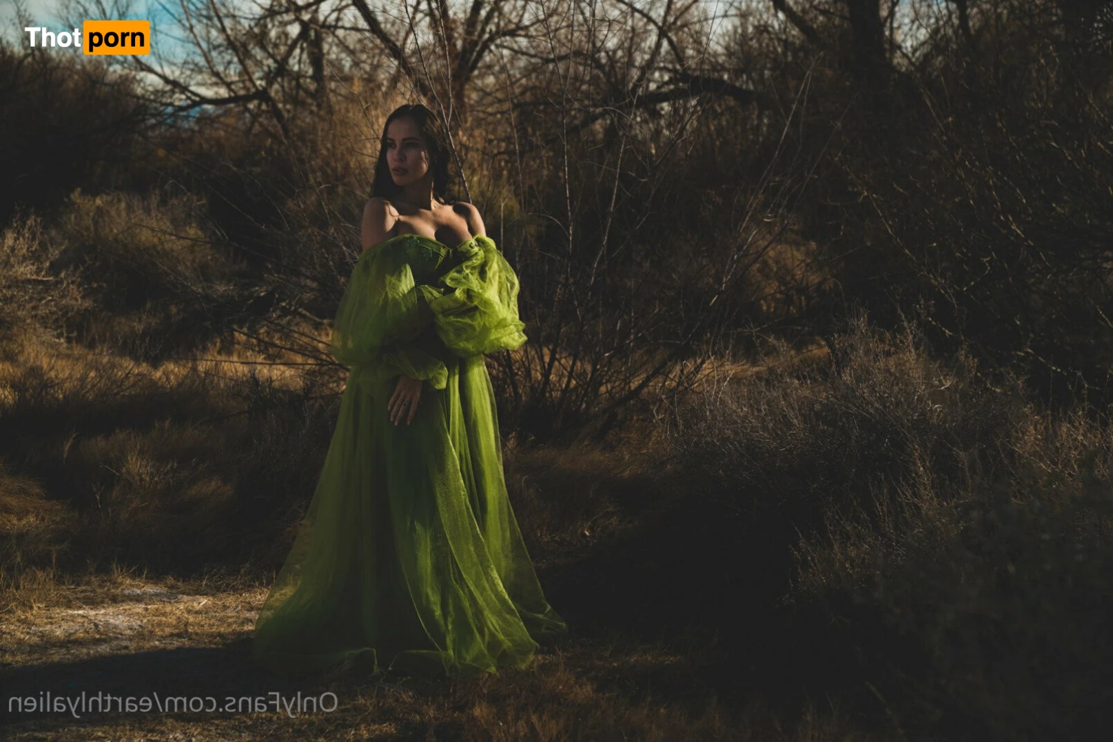 Earthly Alien 3386932