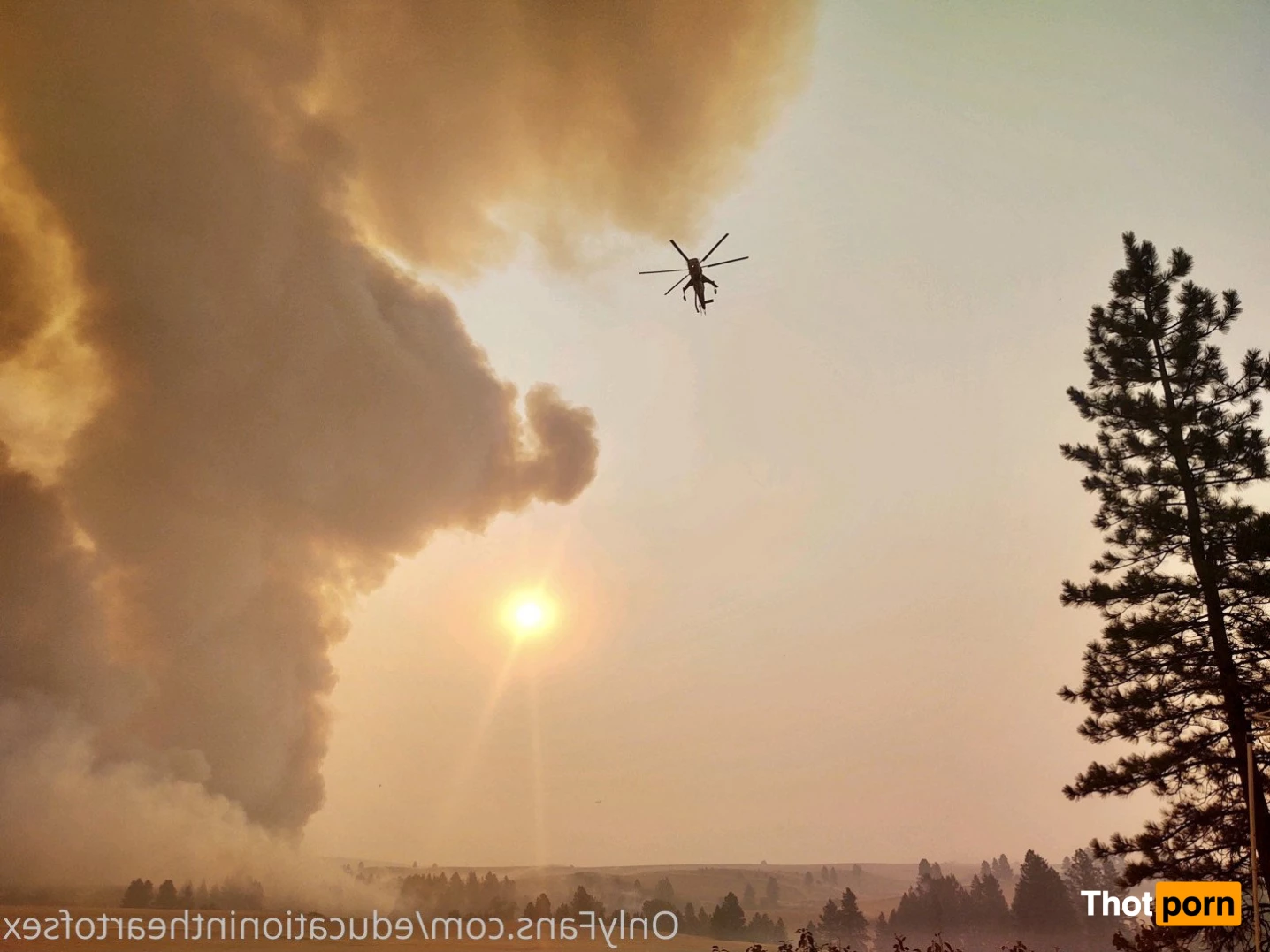 BC Madison Gulli, Clinical Sexologist 3237631