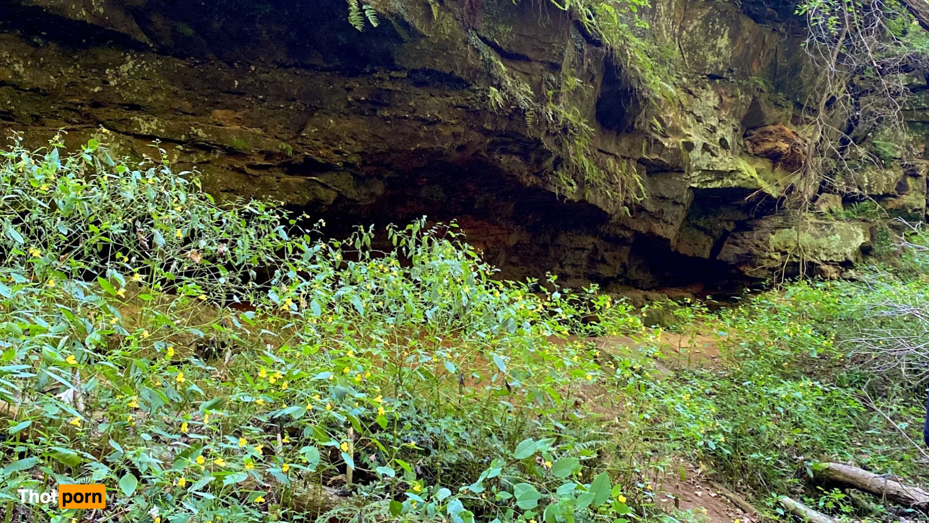 lindsey ♡ ❀ *:･ﾟ◕ ◡ ◕ 10985132