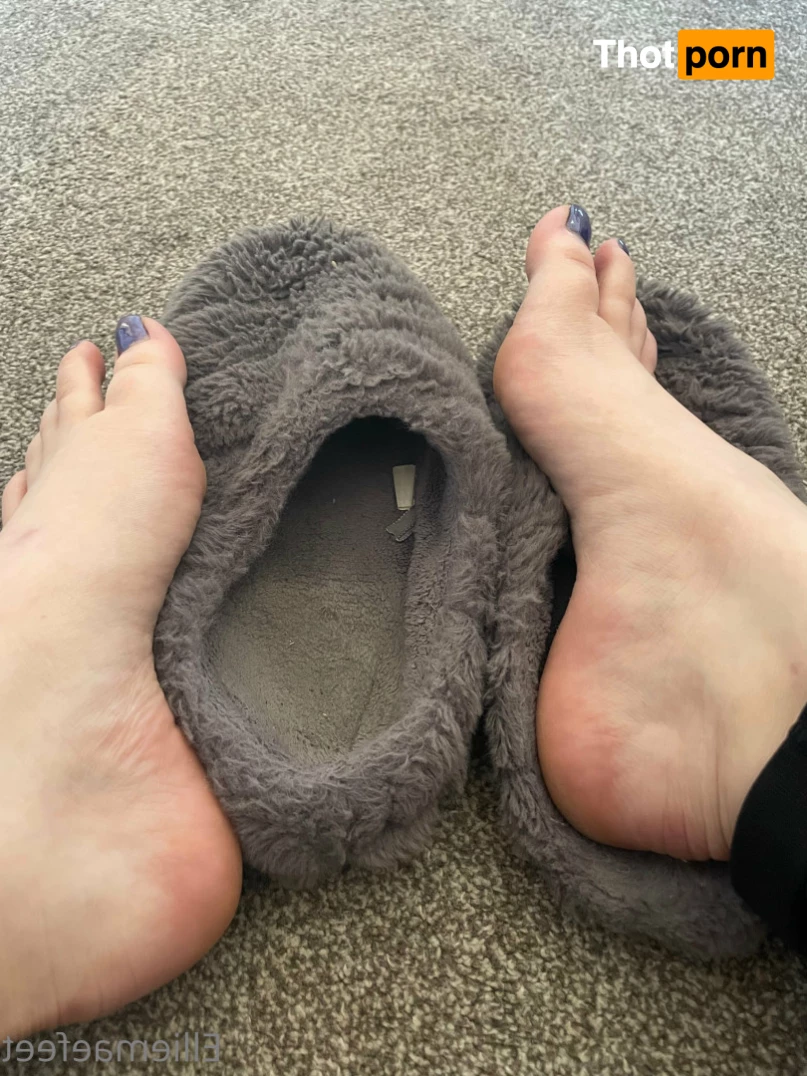 Ellie-Mae's Feet 7722994