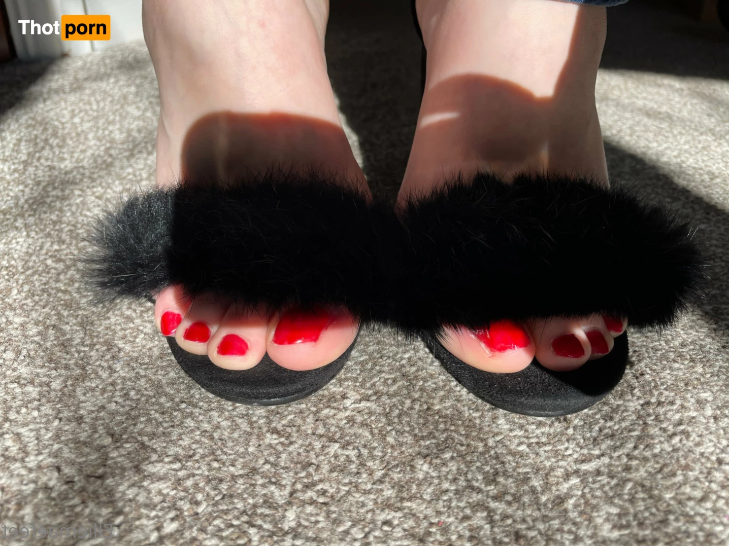 Ellie-Mae's Feet 7722999